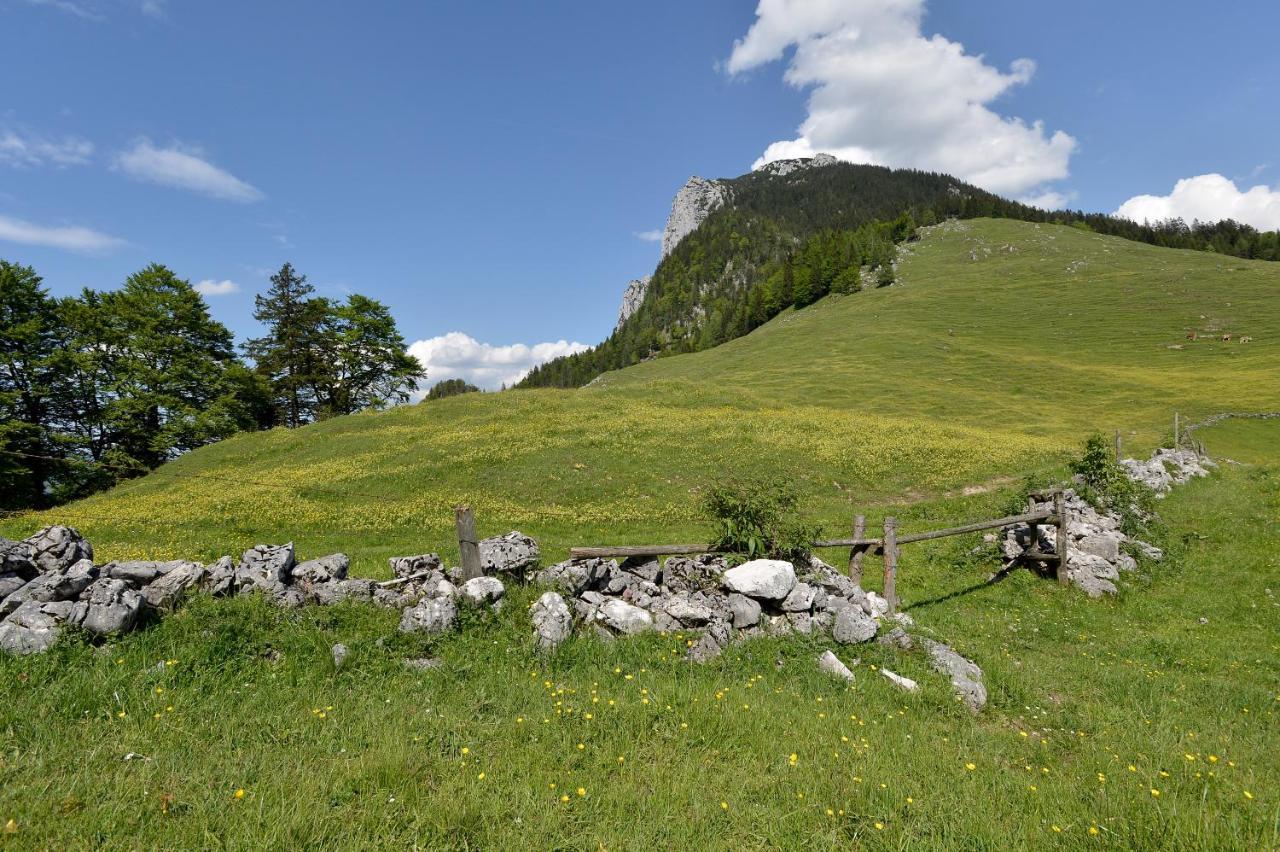 Ritzau Alm Hotel Ebbs Exterior photo